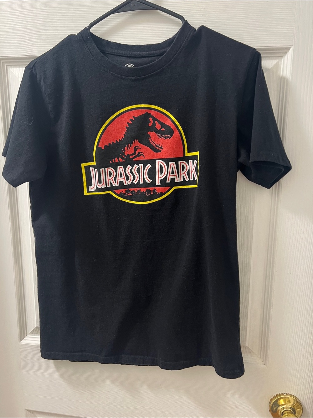 Black Jurassic Park Tee for Kids